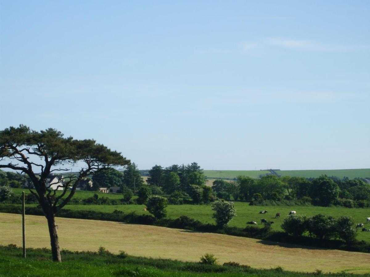 The Brown Hen Guest Accommodation Bandon Buitenkant foto